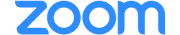 Zoom Logo
